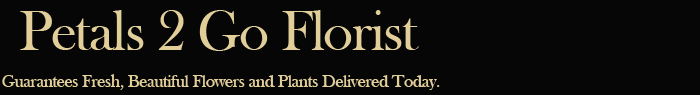 North Branford Florist - Send flowers and gifts for any occasion from Petals 2 Go Florist